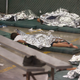 Young boys sleep in a holding cell.